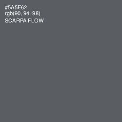 #5A5E62 - Scarpa Flow Color Image